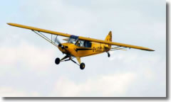 Piper PA18 Cub